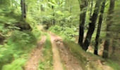 Mobile Adventures Biking - Bluebarry trail